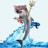 Siege Dolphin Fella 🇺🇦 #UkraineMustWin's profile picture