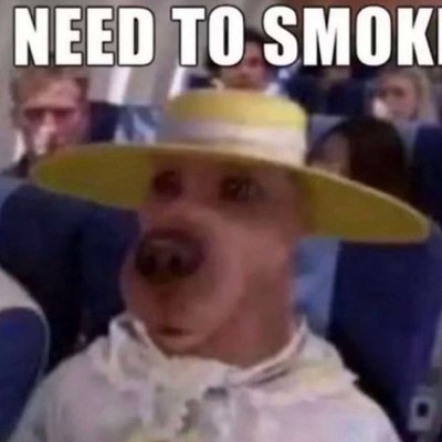 MuzzlordH's profile picture