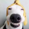 rainbowjiand's profile picture