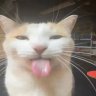 Profilbild von HadesTheBanana