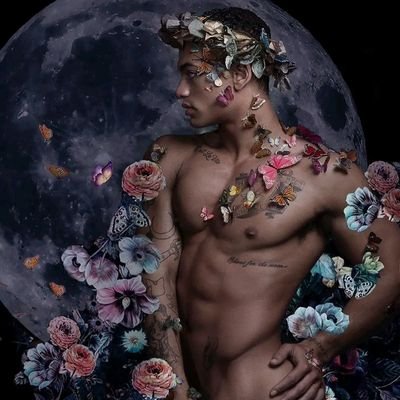 Zozokreyol's profile picture