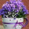 Profilbild von Ali Saed