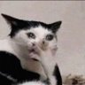 Brittanika's profile picture