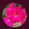 Profilbild von Churi