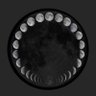 T's profile picture