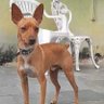 Фото профиля Marcio Yukio Lima