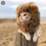 Profilbild von ヒロ