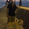 Matt Dbo 的头像