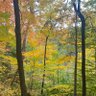 Johnny Sunflower's profile picture