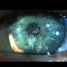 Фото профиля SARASA B17🫧