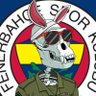 Münferit Yorum 's profile picture