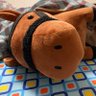 とりあたま profil fotoğrafı