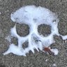 Raga_Dagga's profile picture