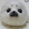 Profilbild von ブライアン