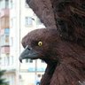 Василий Ослов 的头像