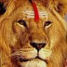 Pandeji 🇮🇳 的头像