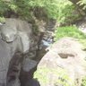 Фото профиля へっぽこ亭さくらい