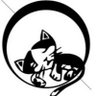 Buxuan Zhao's profile picture
