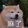 shiba666's profile picture