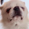 Profilbild von milkteeeea