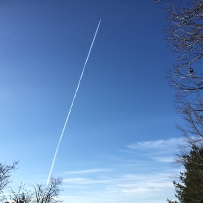 Joe Shao邵俊's profile picture