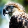 NuclearFusion's profile picture