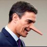 Profilbild von Pinueve, mientes más que pinocho