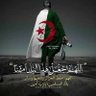 Gacem Faycal's profile picture