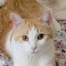 Profilbild von Lynda Catt