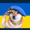 Shaun Summersgill ๐บ๐ฆ's profile picture