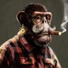 CryptoGrodd 的头像