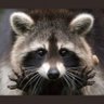 Я/МЫ ЕНОТ 💙💛's profile picture