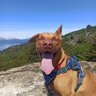 Flavio profil fotoğrafı
