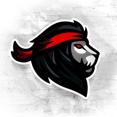 Salsa's profile picture