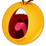 Profilbild von mungo's mouthpiece