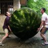 WorldCup1990(2022)✙🍅➔ 的头像