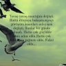 Фото профиля Nesli Türk