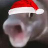 DragonDude's profile picture