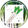 Profilbild von ねぎま