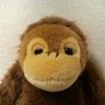 Profilbild von 禿蛸之助パグとカブでタビやメシ