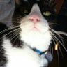 がみ。💉💘🚓🐾🥗❇️ profil fotoğrafı