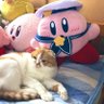Profilbild von みほかん
