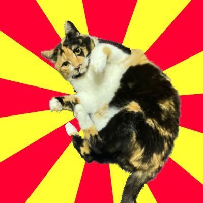 kumabukuro's profile picture