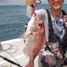イカソーメン profil fotoğrafı