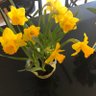 Фото профиля AGuardian