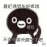 赵寅成's profile picture