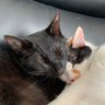 easy_going_myway's profile picture