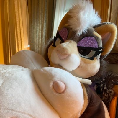 Cake the CreampieCat's profile picture
