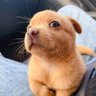 Jaroensin20417's profile picture