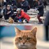 Нє кот, а кіт! 的头像